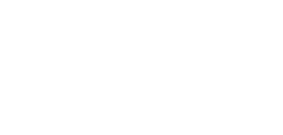 Levita logo