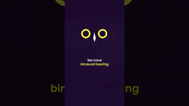 Ready to take your brand to new heights? Look no further! Our rebranded team